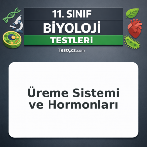 11. Sınıf Biyoloji Testi: Üreme Sistemi ve Hormonları