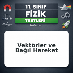 11. Sınıf Fizik Testi: Vektörler ve Bağıl Hareket