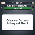 11. Sınıf Türk Dili ve Edebiyatı Olay ve Durum Hikayesi Testi