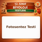 12. Sınıf Biyoloji Fotosentez Testi