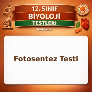 12. Sınıf Biyoloji Fotosentez Testi