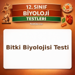 12. Sınıf Biyoloji Bitki Biyolojisi Testi