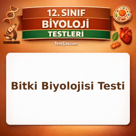 12. Sınıf Biyoloji Bitki Biyolojisi Testi