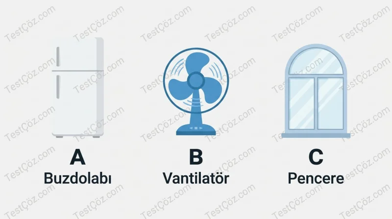 3. Sınıf Fen Bilimleri Elektrikli Araçlar (3)