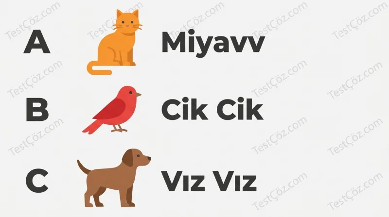 3. Sınıf Fen Bilimleri Çevremizdeki Işık ve Sesler (3)