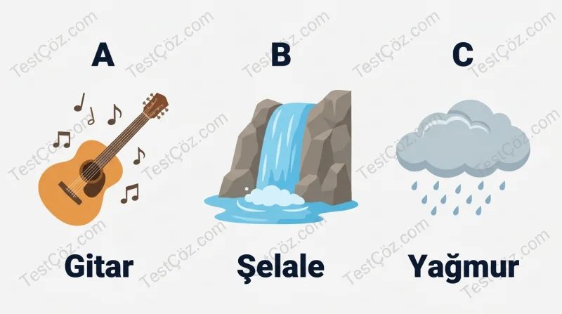 3. Sınıf Fen Bilimleri Çevremizdeki Işık ve Sesler (3)