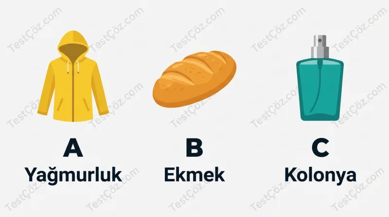 3. Sınıf Fen Bilimleri Maddeyi Tanıyalım (3)