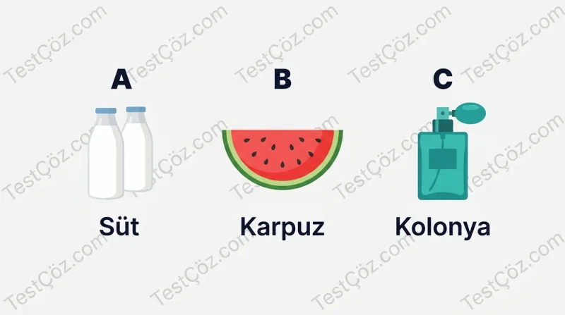 3. Sınıf Fen Bilimleri Maddeyi Tanıyalım (3)
