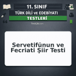 11. Sınıf Servetifünun ve Fecriati Şiir Testi