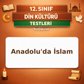 12. Sınıf Anadolu'da İslam: Tasavvufî Önderler ve Tarikatlar Testi
