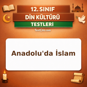 12. Sınıf Anadolu'da İslam: Tasavvufî Önderler ve Tarikatlar Testi