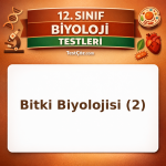 12. Sınıf Biyoloji Bitki Biyolojisi 2: Ksilem, Floem, Çiçek, Hormonlar ve Üreme Testi