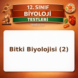 12. Sınıf Biyoloji Bitki Biyolojisi 2: Ksilem, Floem, Çiçek, Hormonlar ve Üreme Testi