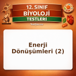 12. Sınıf Biyoloji Canlılarda Enerji Dönüşümleri 2: Fotosentez, Solunum ve ATP Testi