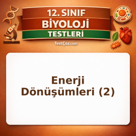 12. Sınıf Biyoloji Canlılarda Enerji Dönüşümleri 2: Fotosentez, Solunum ve ATP Testi