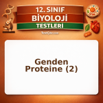 12. Sınıf Biyoloji Genden Proteine 2: DNA Replikasyonu, Protein Sentezi ve Biyoteknoloji Testi