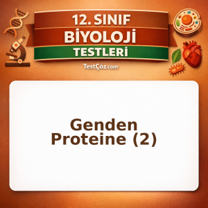 12. Sınıf Biyoloji Genden Proteine 2: DNA Replikasyonu, Protein Sentezi ve Biyoteknoloji Testi