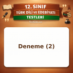 12. Sınıf Edebiyat Deneme 2: Yazarlar, Sohbet ve Günlük Testi