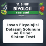 11. Sınıf Biyoloji İnsan Fizyolojisi Dolaşım Solunum ve Üriner Sistem Testi