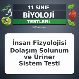 11. Sınıf Biyoloji İnsan Fizyolojisi Dolaşım Solunum ve Üriner Sistem Testi