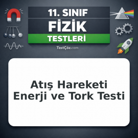 11. Sınıf Fizik Atış Hareketi Enerji ve Tork Testi