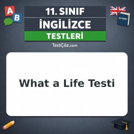 11. Sınıf İngilizce What a Life Testi