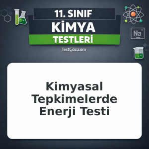 11. Sınıf Kimya Kimyasal Tepkimelerde Enerji Testi