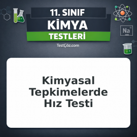 11. Sınıf Kimya Kimyasal Tepkimelerde Hız Testi