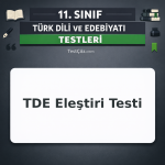 11. Sınıf TDE Eleştiri Testi