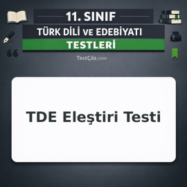 11. Sınıf TDE Eleştiri Testi