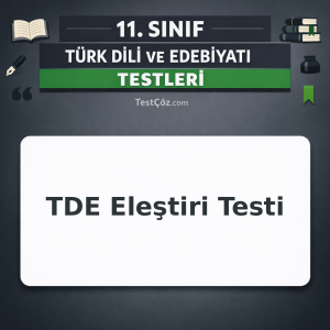11. Sınıf TDE Eleştiri Testi