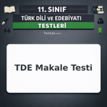 11. Sınıf TDE Makale Testi