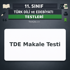 11. Sınıf TDE Makale Testi