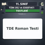 11. Sınıf TDE Roman Testi