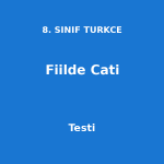 8. SINIF TURKCE Fiilde Cati Testi