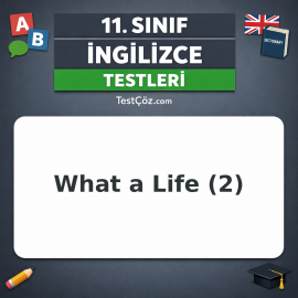 11. Sınıf İngilizce What a Life 2: Past Perfect, Time Clauses ve Ordering Events Testi