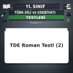 11. Sınıf Türk Dili ve Edebiyatı Roman 2: Türk ve Dünya Romancılığı Testi