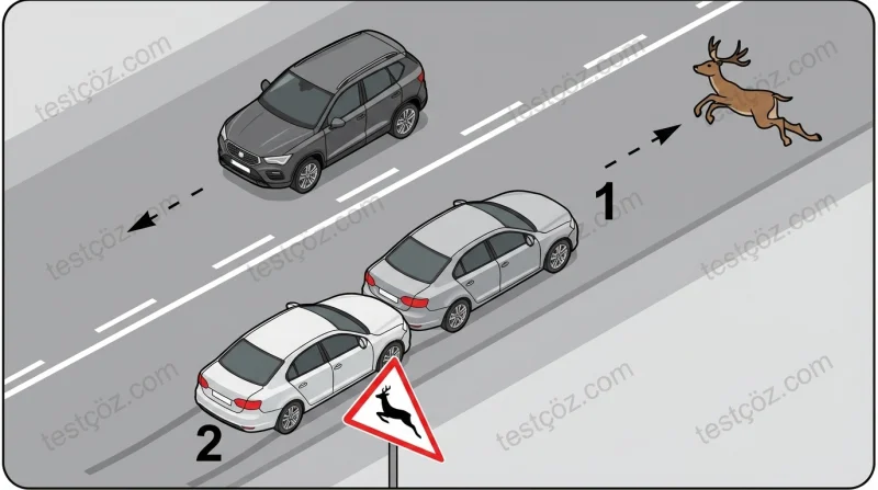 1 numaralı araca arkadan çarpan 2 numaralı araç sürücüsü — yol sahnesi