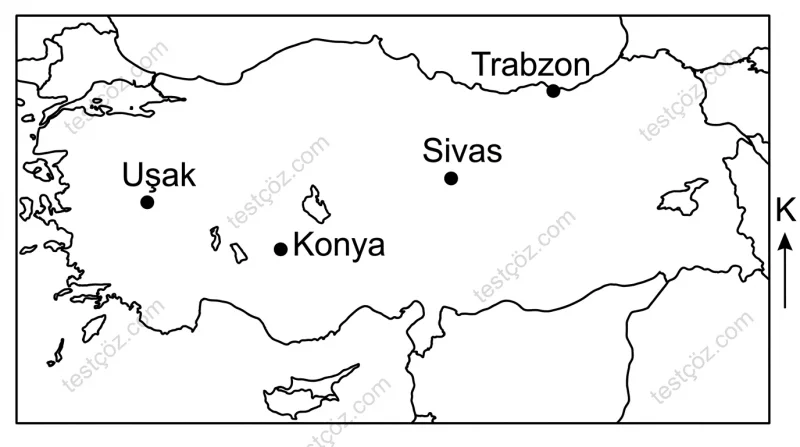 Türkiye haritası — il konumu yön bulma soru (varyant 2)