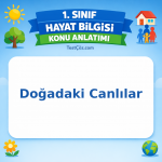 1. Sınıf Hayat Bilgisi Doğadaki Canlılar Konu Anlatımı - testçöz.com