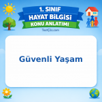 1. Sınıf Hayat Bilgisi Güvenli Yaşam Konu Anlatımı - testçöz.com
