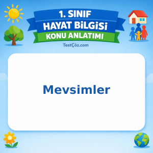 1. Sınıf Hayat Bilgisi Mevsimler Konu Anlatımı - testçöz.com