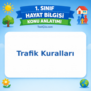 1. Sınıf Hayat Bilgisi Trafik Kuralları Konu Anlatımı - testçöz.com