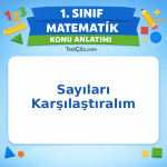 1. Sınıf Matematik Sayıları Karşılaştıralım Konu Anlatımı - testçöz.com