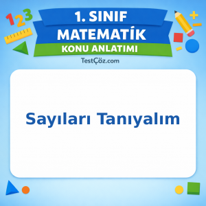1. Sınıf Matematik Sayıları Tanıyalım Konu Anlatımı - testçöz.com