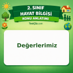 2. Sınıf Hayat Bilgisi Değerlerimiz Konu Anlatımı - testçöz.com