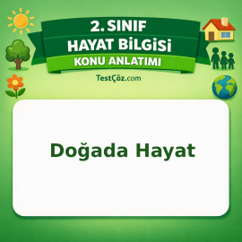 2. Sınıf Hayat Bilgisi Doğada Hayat Konu Anlatımı - testçöz.com