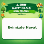 2. Sınıf Hayat Bilgisi Evimizde Hayat Konu Anlatımı - testçöz.com