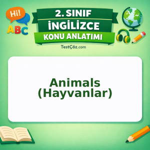 2. Sınıf İngilizce Animals (Hayvanlar) Konu Anlatımı - testçöz.com