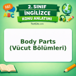 2. Sınıf İngilizce Body Parts (Vücut Bölümleri) Konu Anlatımı - testçöz.com